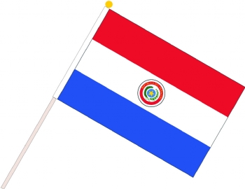 Paraguayan flag waving