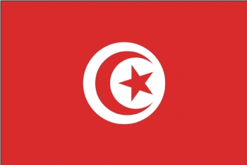 Tunisian flag