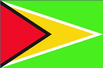 Guyana flag