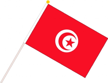 Tunisian flag