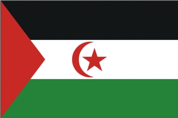 Western Sahara flag