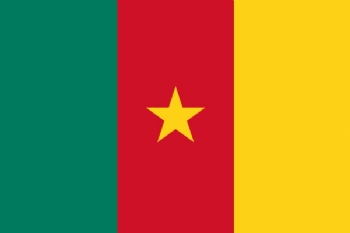 Flag of Cameroon