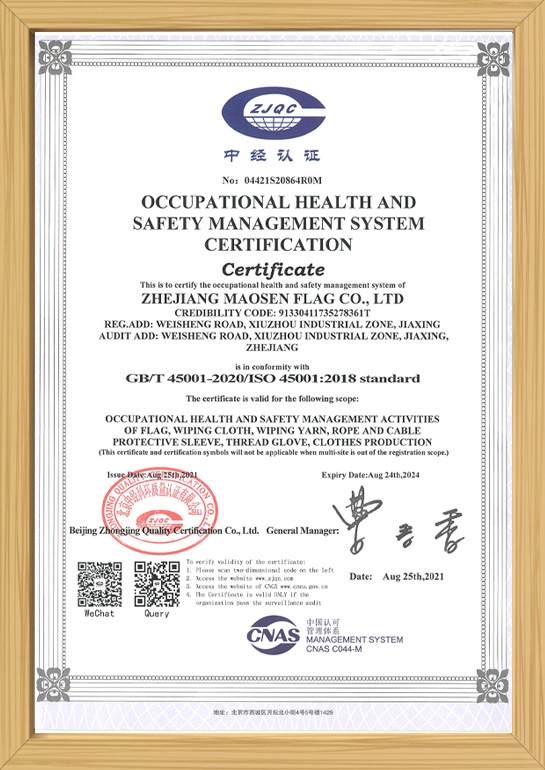 Occupational health and safety management system