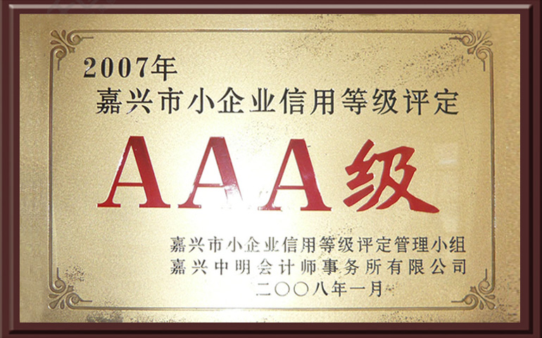 In 2007, the credit rating of small enterprises in Jiaxing was AAA